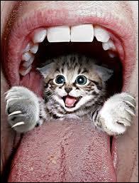 Quand dit-on qu'on a   un chat dans la gorge   ?