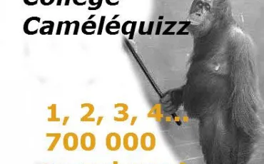 Quiz Chiffres