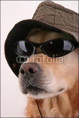 Ce dtective a du  flair  ! D'ailleurs, ce qu'il traque pour lucider les nigmes a une ressemblance avec :