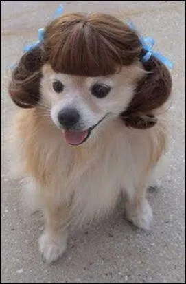 Mais pourquoi lui mettre une perruque ? Bref, si je vous parle de ces dtails, ce n'est srement pas pour se couper les cheveux en :