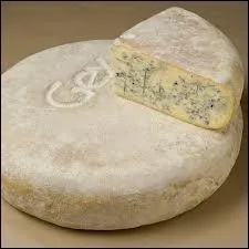 Un village du Jura a donn son nom  un fromage local, plus connu sous le nom de Bleu de Gex. Quel est ce village ?