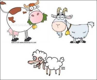 En 2001 au Royaume-Uni, quels animaux ont t svrement touchs par la fivre aphteuse ?