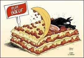 Dbut 2013, quelle viande a t dcouverte dans les lasagnes Findus    la viande de boeuf   ?