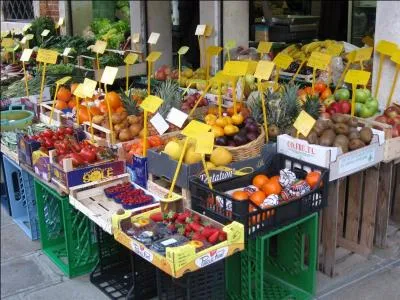 Quelle femme de lettres a cr le personnage du commissaire Brunetti, dont toutes les enqutes se droulent  Venise ?