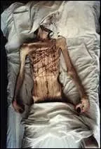 Quel est l'artiste qui a fait cette photo ?