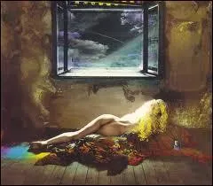 Quel est l'artiste qui a fait cette photo ?