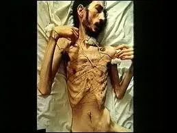 Quel est l'artiste qui a fait cette photo ?