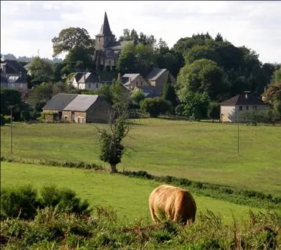 Dans quelle rgion franaise  la mort du matre, il appartenait au successeur de celui-ci d'annoncer la nouvelle aux boeufs et aux ruches en prononant la formule rituelle :  Lo Mestre es mort ,  Avetz un novel Mestre  ?