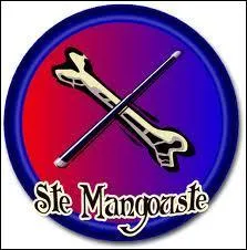 Quel ancien professeur de dfense contre les Forces du mal Harry Potter rencontre-t-il  Sainte-Mangouste ?