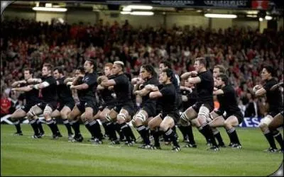 Quel est l'emblme des  All Blacks  (rugby) figurant sur leurs maillots ?