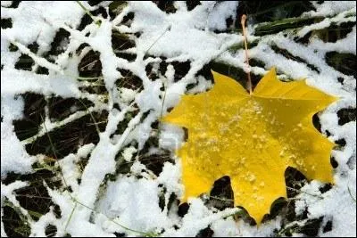Qui interprte les paroles   Vive le vent de l'hiver et la chanson de Prvert  ?