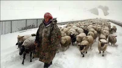 Quel est ce film de Manuel von Strler ?