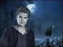 Avec qui Stefan va-t-il finir ?