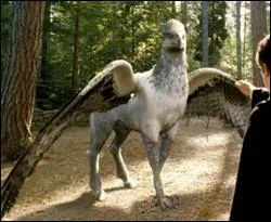 Quel est cet hippogriffe de Rubeus Hagrid ?