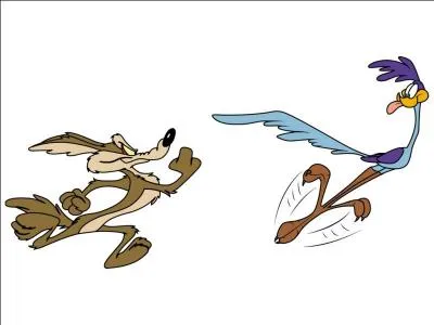 Quel est ce dessin anim� ?