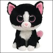 Comment s'appelle cette peluche ?