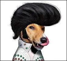 C'est le chanteur ayant vendu le plus de disques de tous les temps :