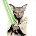 Que la culture soit avec toi ! Yoda est un des personnages principaux de la clbre saga :