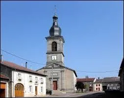 Voici l'glise Saint-Mdard de la commune Vosgienne de Damas-aux-Bois. Elle se situe en rgion ...