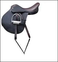 Quelle est la partie dsigne par la flche ?