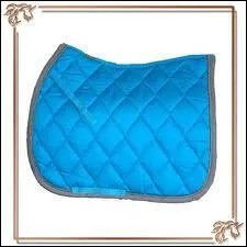 Quel est cet objet ?