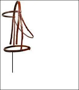 Quelle est la partie dsigne par la flche ?