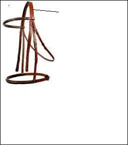 Quelle est la partie dsigne par la flche ?