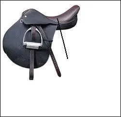 Quelle est la partie dsigne par la flche ?