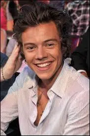 Dans quel secteur Harry travaillait-il avant d'tre chanteur ?