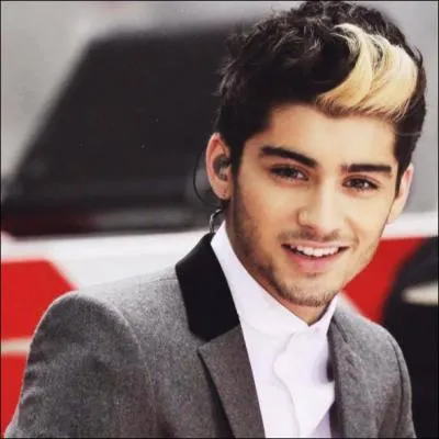 Quelle est la couleur prfre de Zayn ?