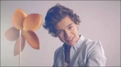 Que veut dire le prnom d'Harry Styles ?