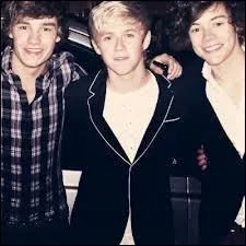 Qui a eu l'ide d'appeler le groupe One Direction ?