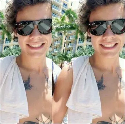 Combien Harry a-t-il de soeurs ?