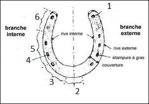 Choisis la bonne proposition.