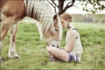 Les plus belles photos de chevaux sont particulirement faites par...