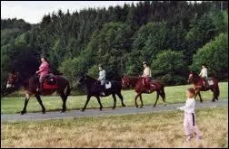 Si je vous dis  G. T. E  vous me dites :