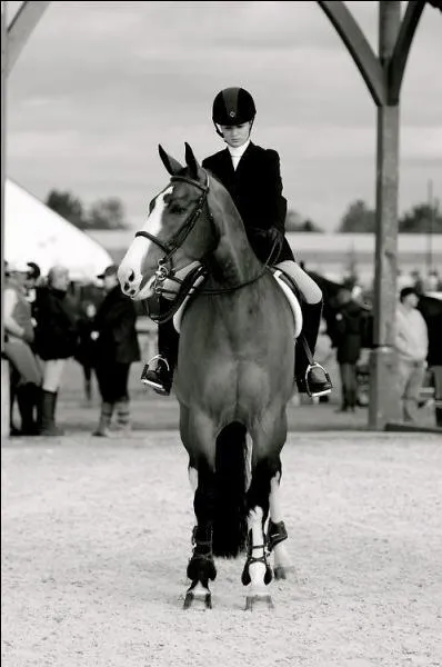 Et pour finir, quel est le mtier qui constitue l'quitation ?