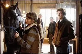 La personne qui s'occupe des chevaux de comptition est nomme :