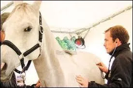 Cette personne soigne les chevaux malades dans plusieurs domaines : chirurgie, ophtalmologie... . Alors, que rpondez-vous ?