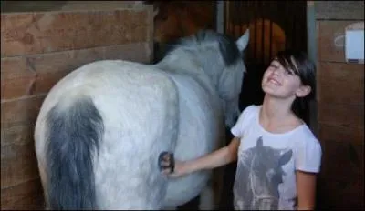 Pourquoi faut-il panser un cheval ou un poney ?