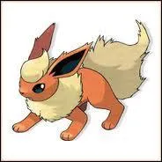 Quel est ce Pokmon ?