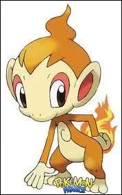 Quel est ce Pokmon ?