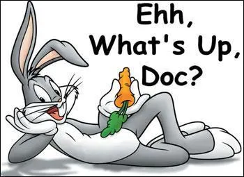 Quel est ce dessin anim ?