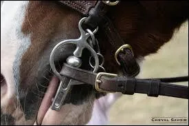 Plus les canons du mors sont fins, plus...