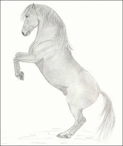 Que veut dire une robe noire  pangar  ?