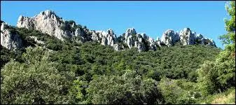 Dans quel dpartement peut-on voir les dentelles de Montmirail ?