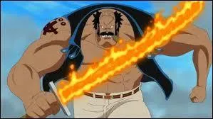 De quel manga s'agit-il ?