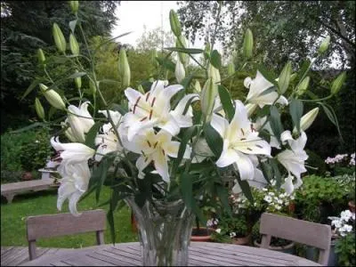 Accompagn d'un magnifique bouquet :