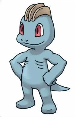 Quelle est l'volution de Machoc ?