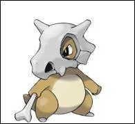 Quelle est l'volution de Osselait ?